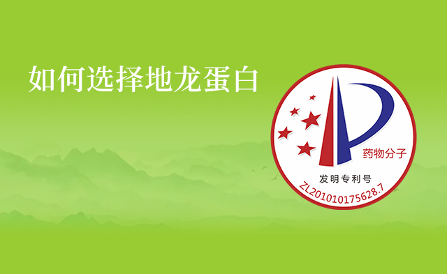 第三阶段活性提取物