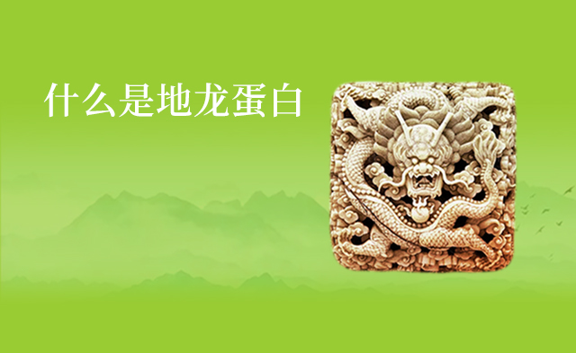 蚯蚓深度提纯 上品功能蛋白
